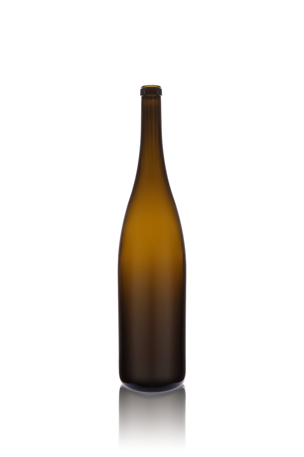 Schlegel 6000ML