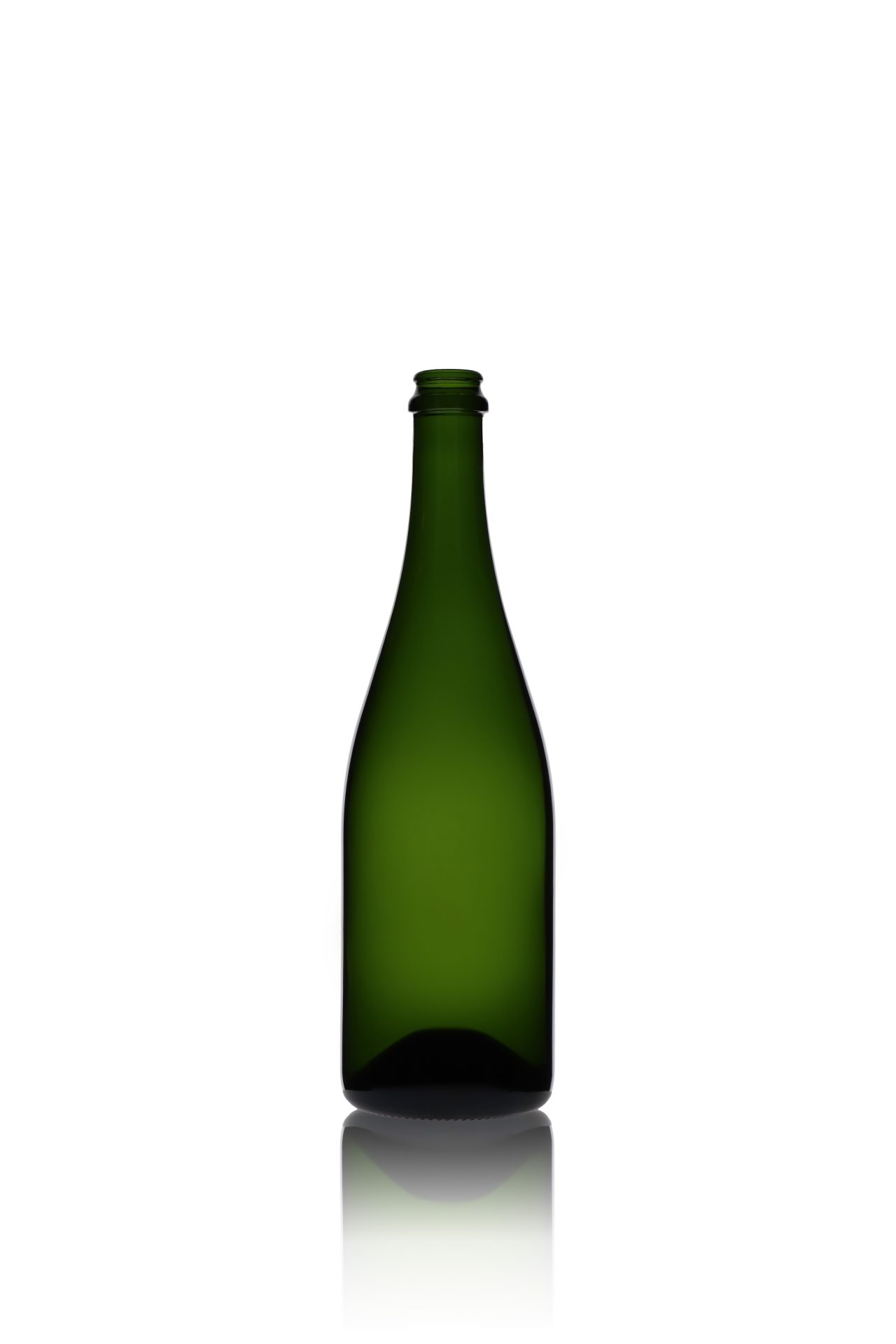 Sektflasche Champagner Ecova CC 750ML